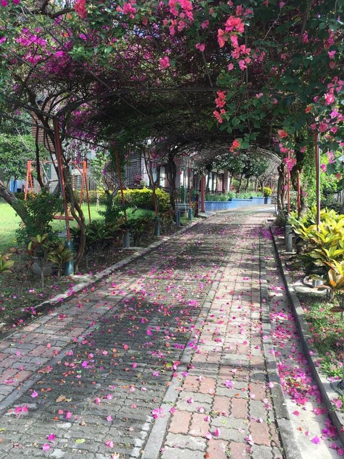 Maylin B&B Xinshe Exterior foto
